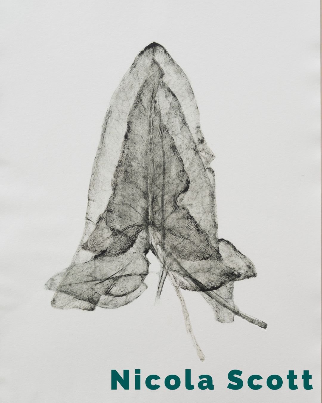 Nicola Scott